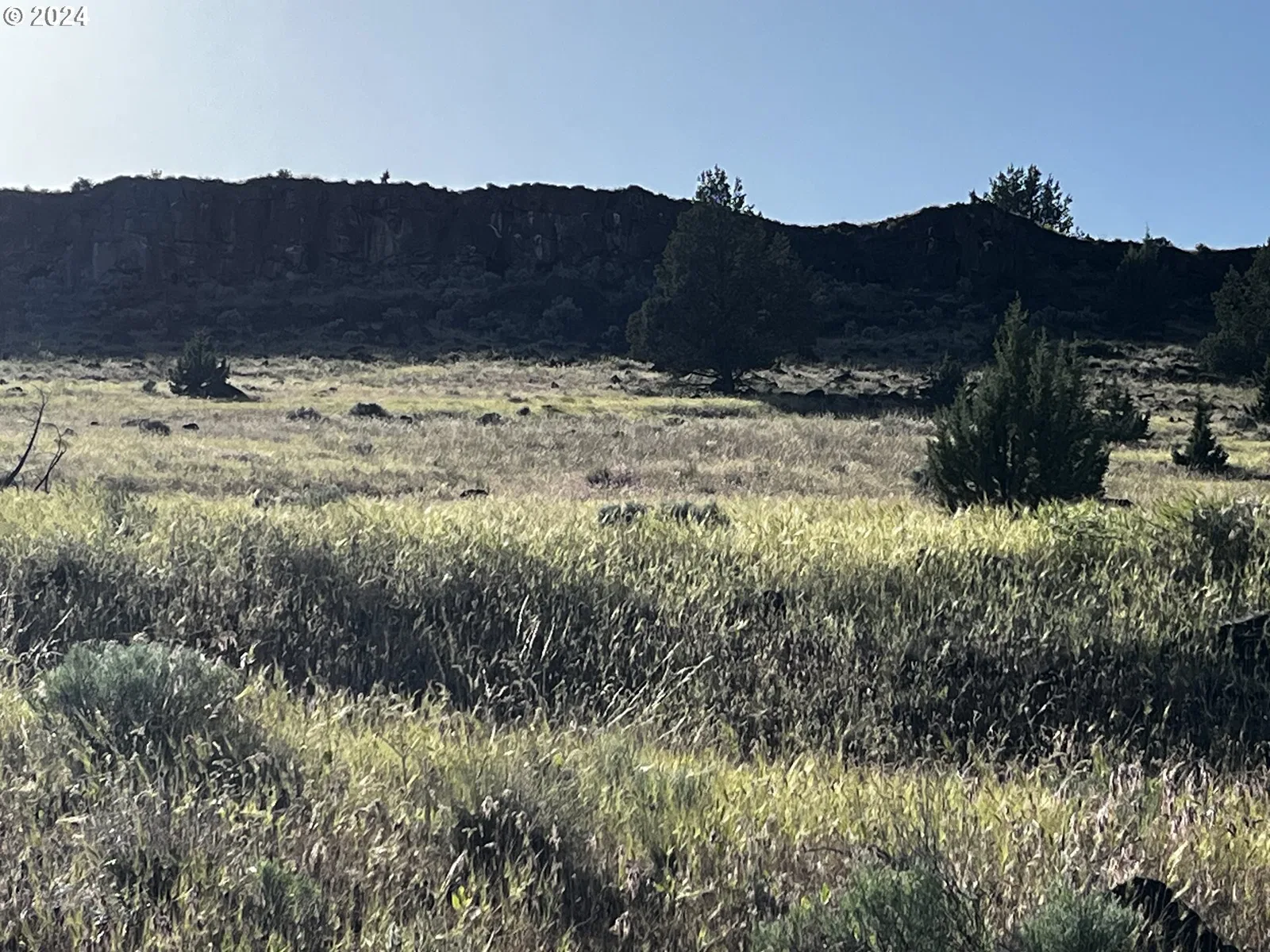 Hwy 197, Maupin, OR 97037 — photograph 9
