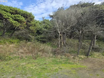 Land at 0 Lookout St 2, Florence, OR 97439