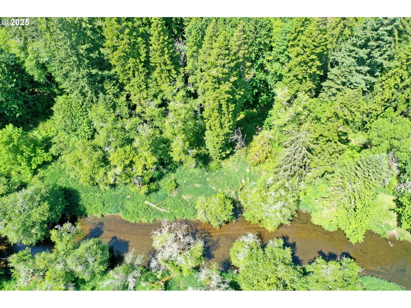 0000 Keasey Rd, Vernonia, OR 97064 — photograph 6