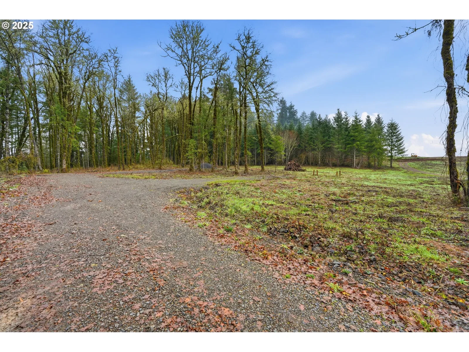 0 NW Berry Creek Rd Lot 1, McMinnville, OR 97128 — photograph 7