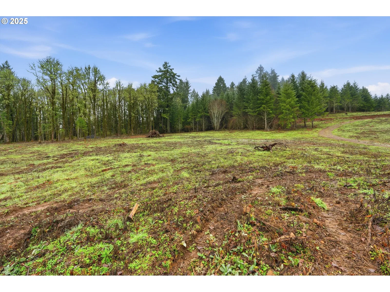 0 NW Berry Creek Rd Lot 1, McMinnville, OR 97128 — photograph 9