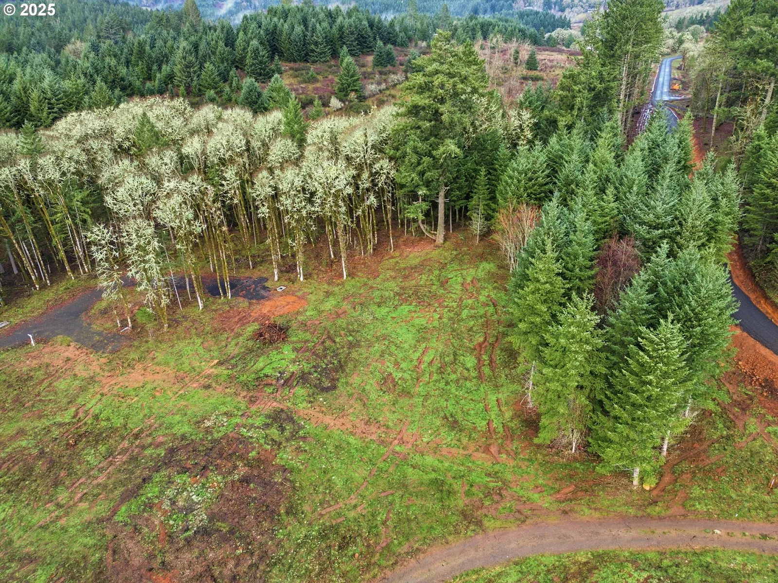 0 NW Berry Creek Rd Lot 1, McMinnville, OR 97128 — photograph 10
