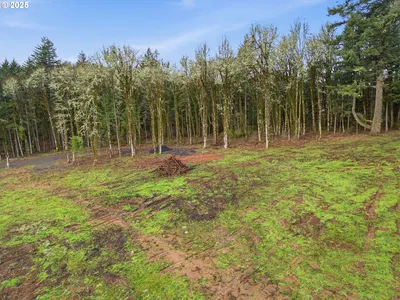 Land at 0 NW Berry Creek Rd Lot 1, McMinnville, OR 97128