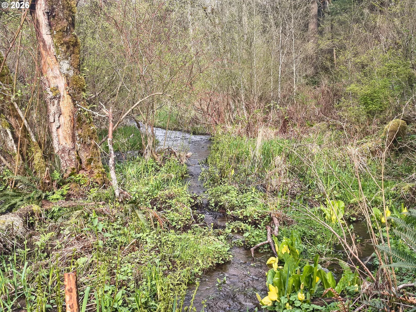 23009 NE Dole Valley Rd, Yacolt, Wa 98675 — photograph 42