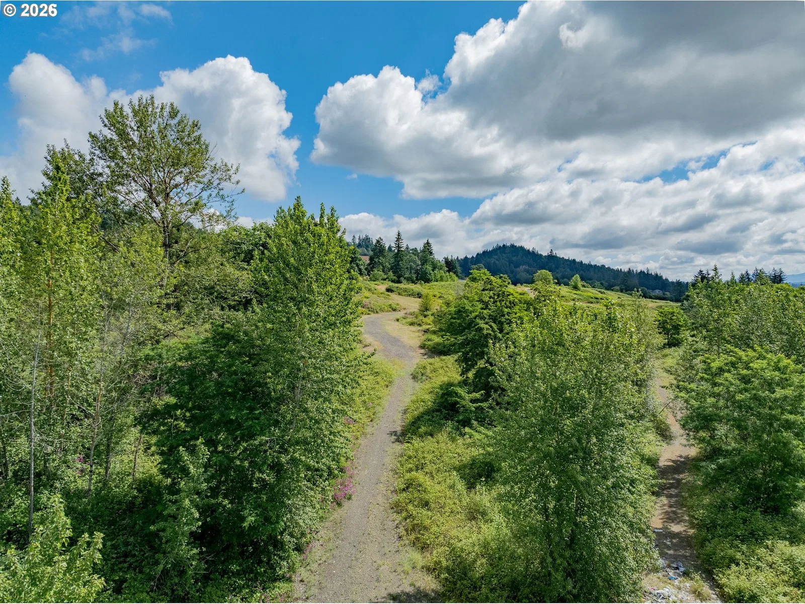 LeBurn Rd, Washougal, Wa 98671 — photograph 6