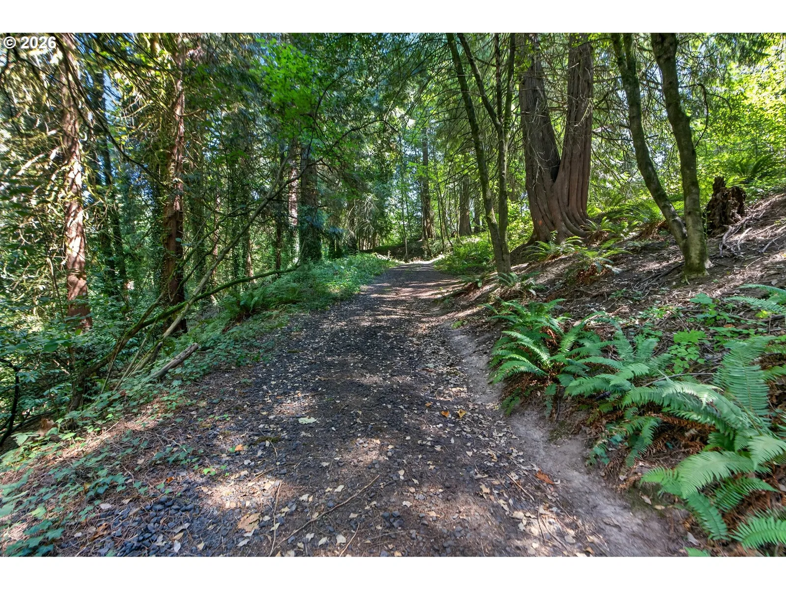 1103 SW Maplecrest Dr, Portland, OR 97219 — photograph 6