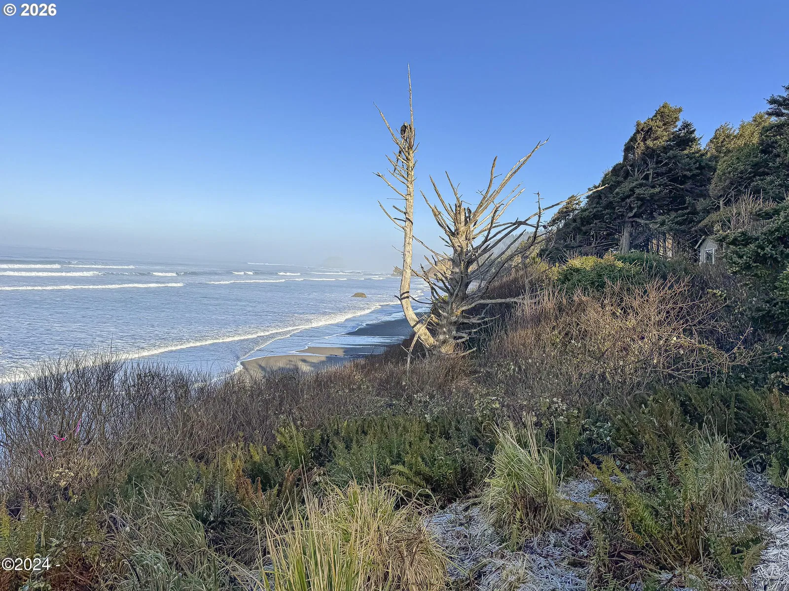 81090 Arcadia Rd, Cannon Beach, OR 97110 — photograph 22
