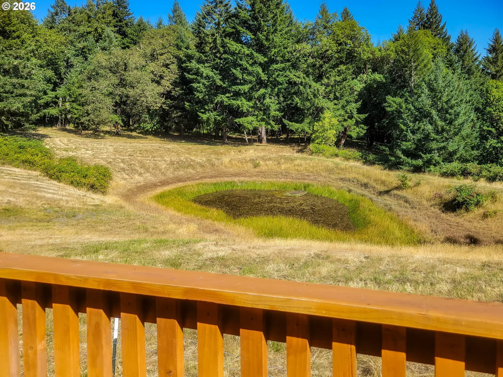 3450 Hogan Rd, Oakland, OR 97462 — photograph 25