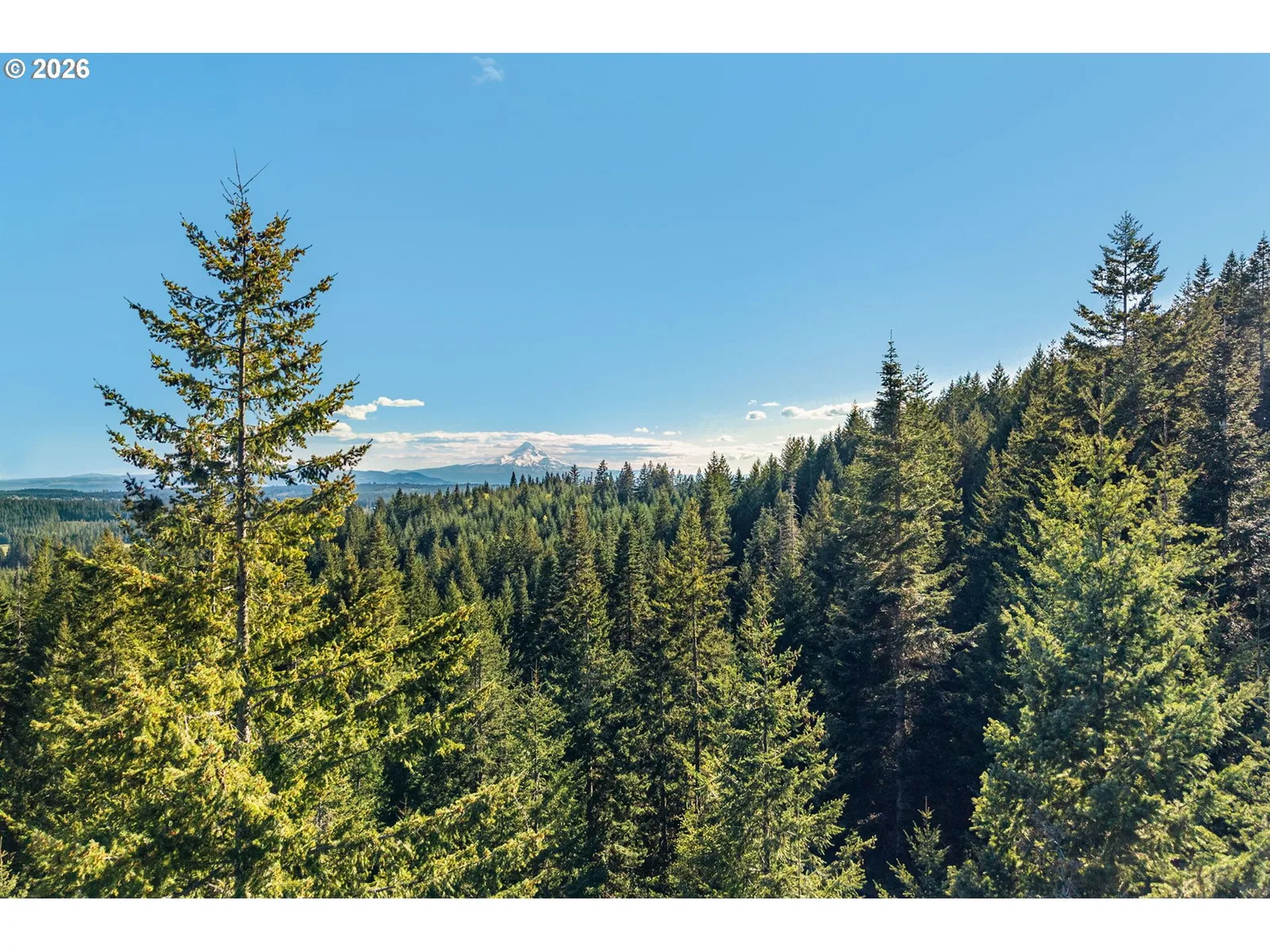 0 Snowden, White Salmon, Wa 98672 — photograph 6