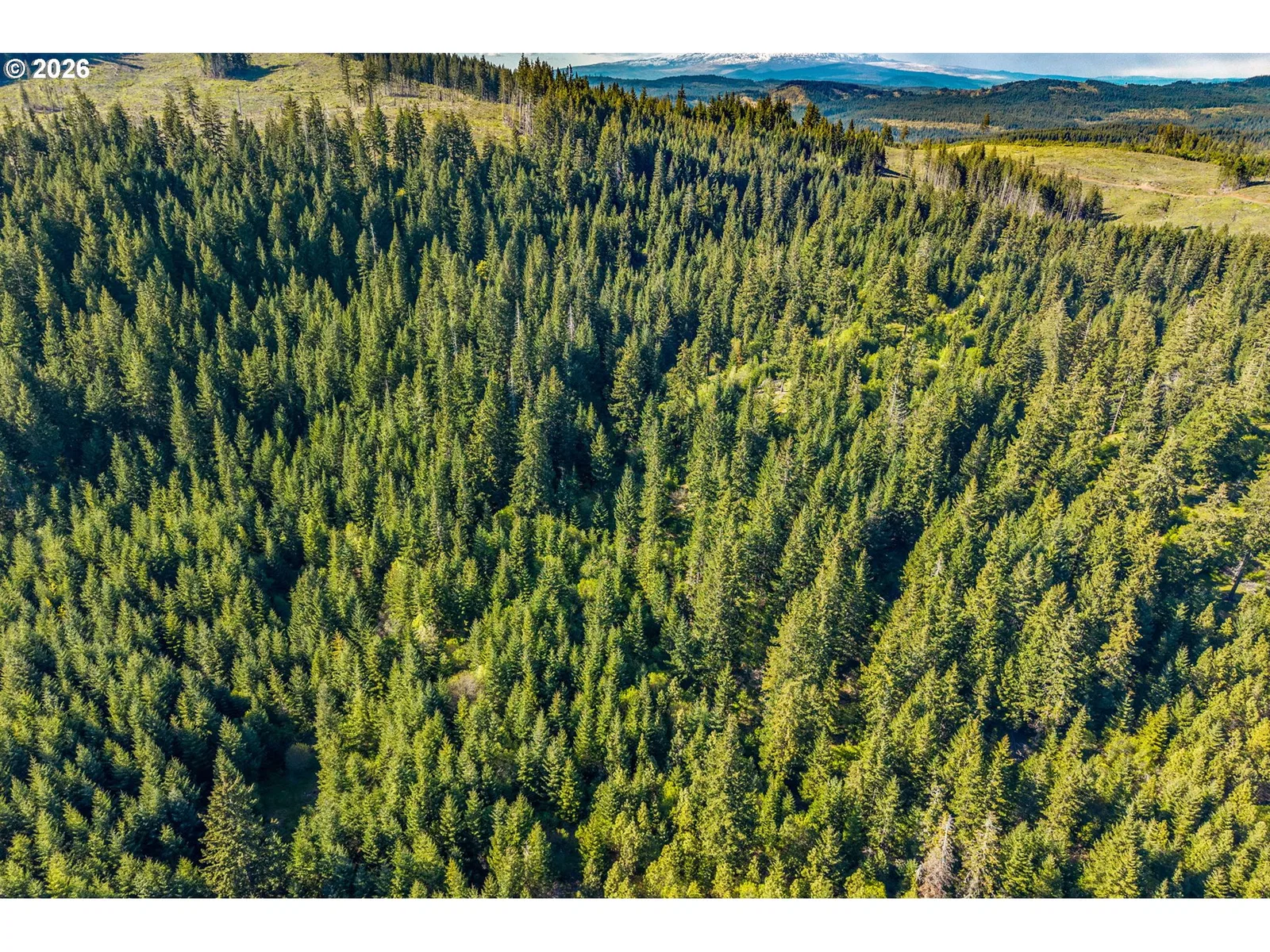 0 Snowden, White Salmon, Wa 98672 — photograph 10