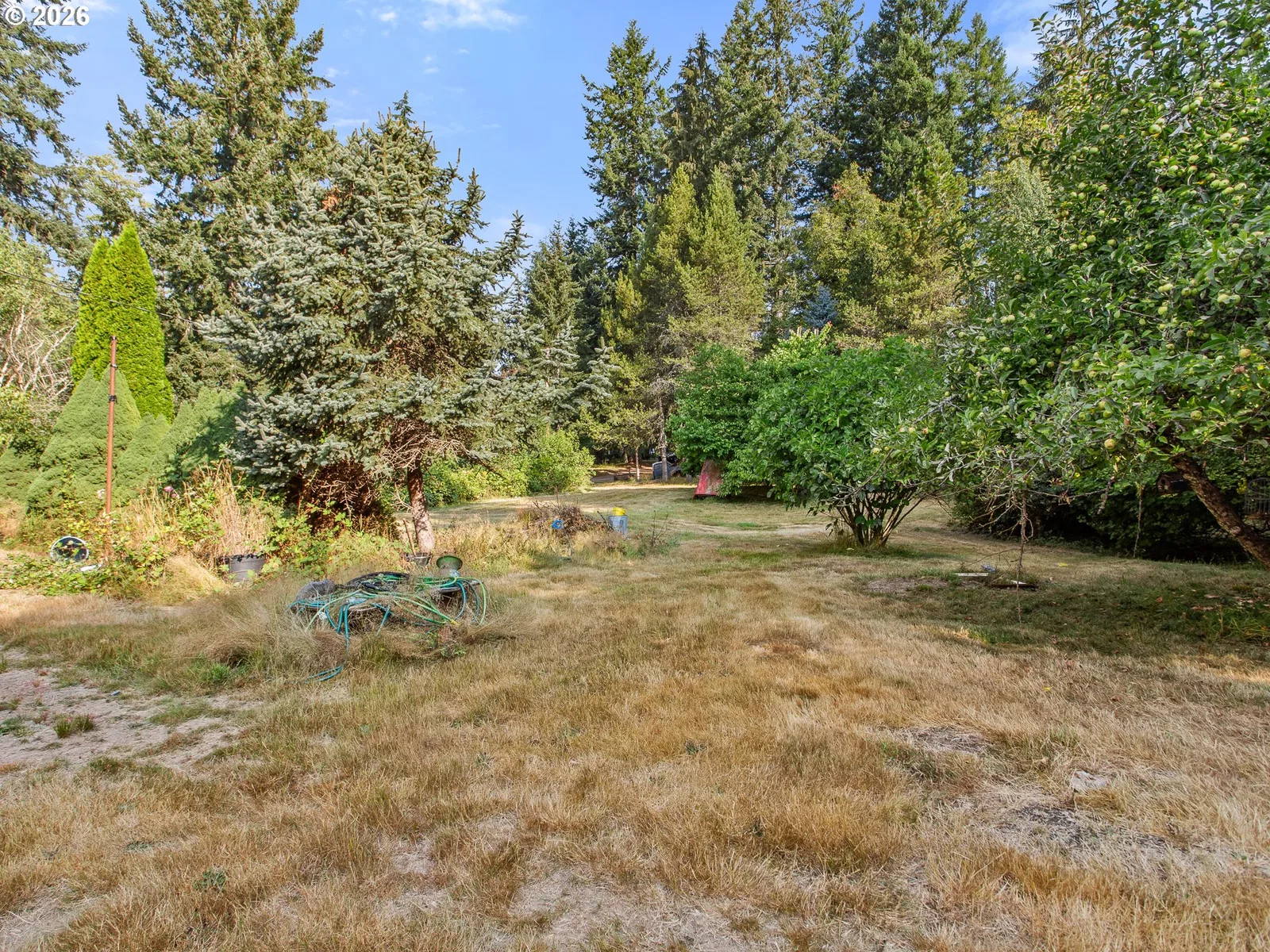 44502 SE Wildcat Mountain Dr, Sandy, OR 97055 — photograph 12