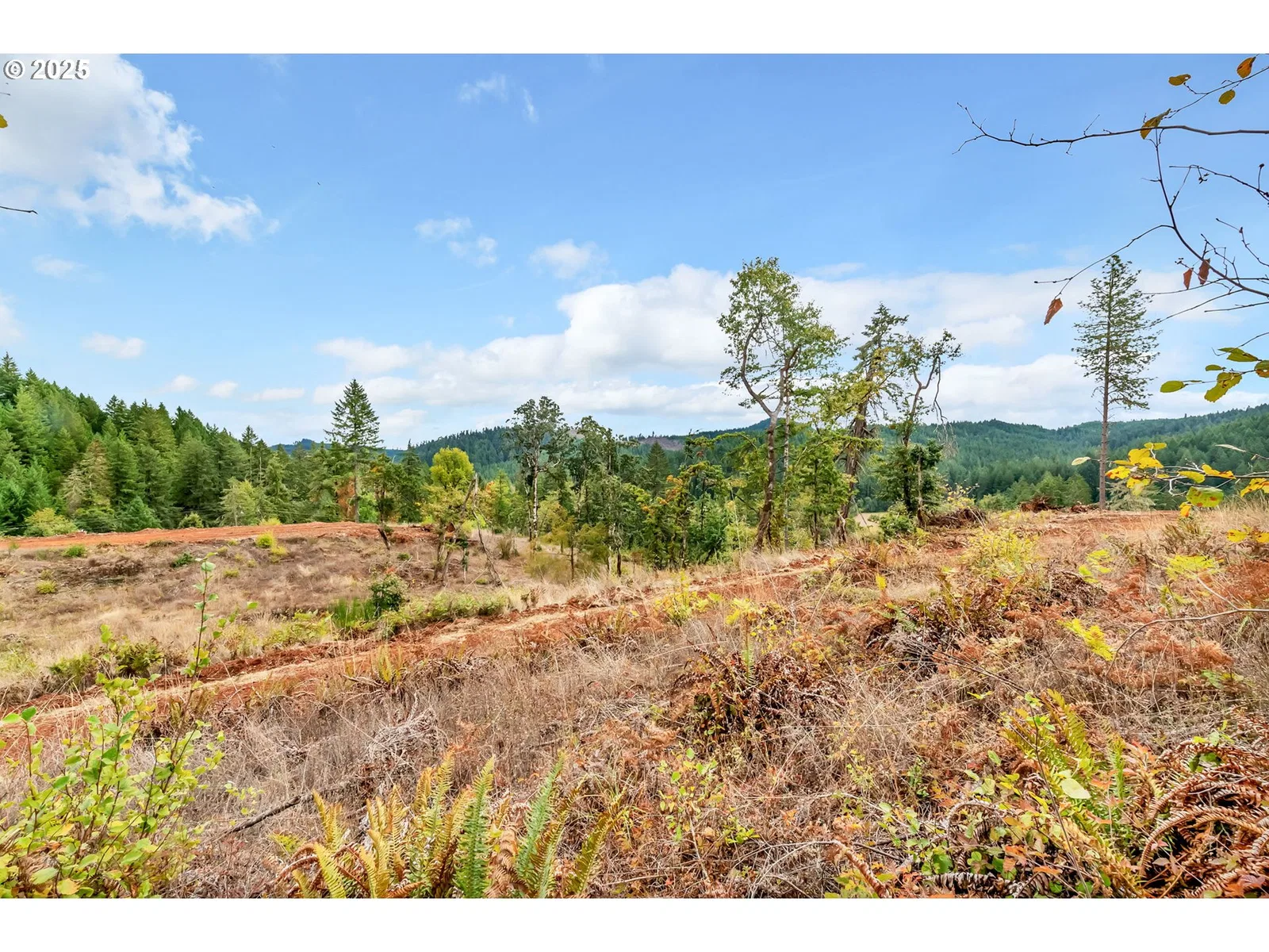 0 Sutherlin Ln 01100, Eugene, OR 97405 — photograph 33