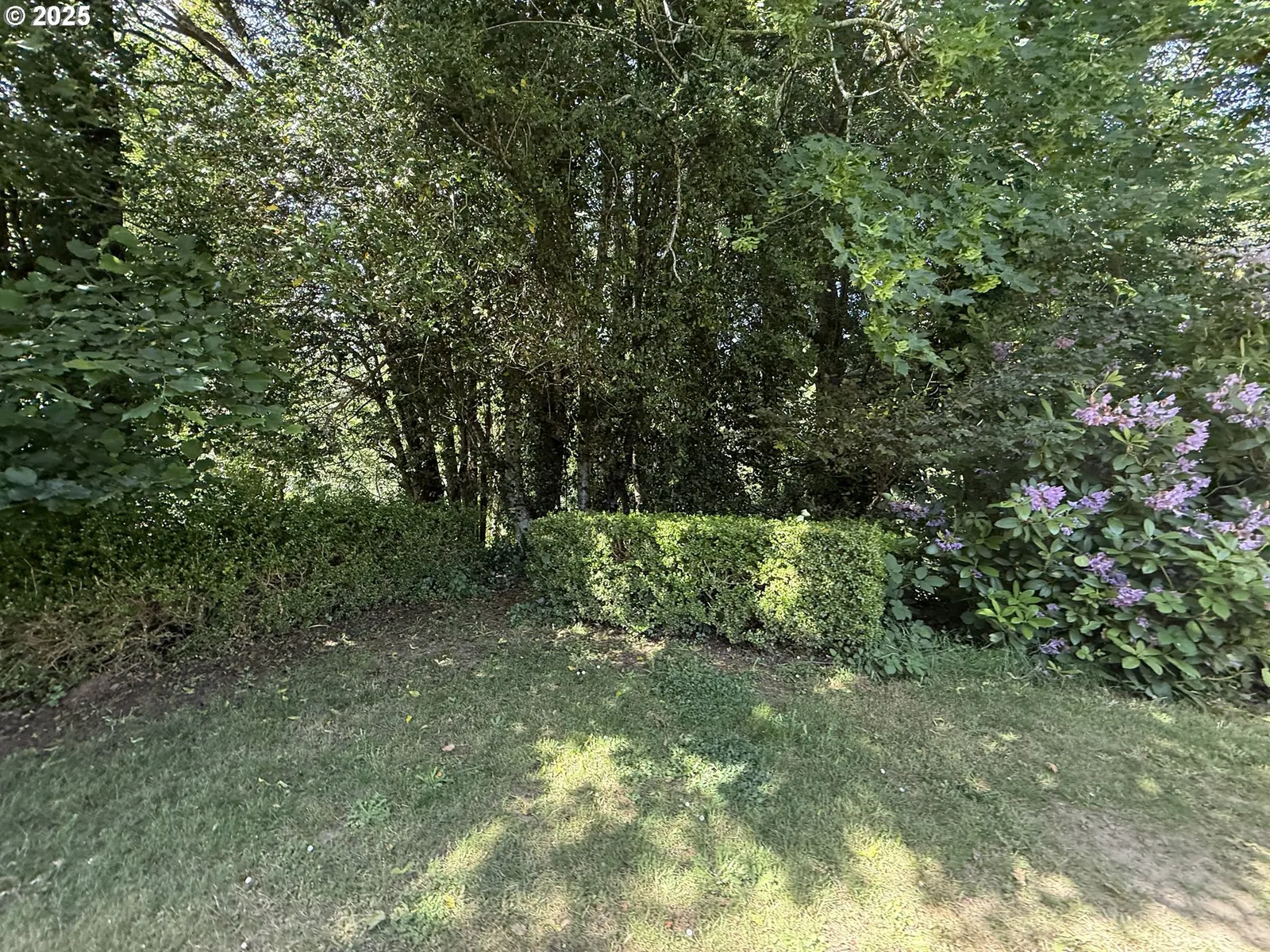 880 E 2nd St, Coquille, OR 97423 — photograph 36