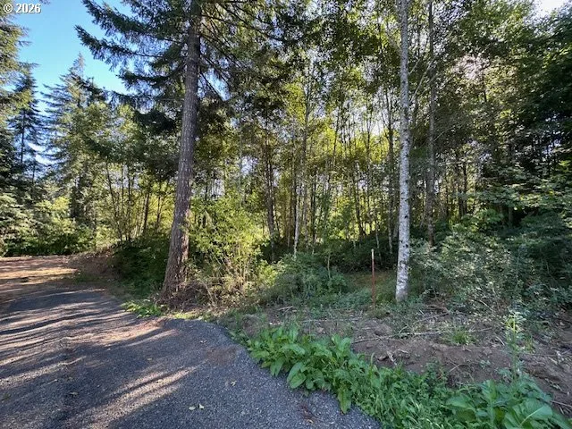00 Thompson Dr, Washougal, Wa 98671 — photograph 6