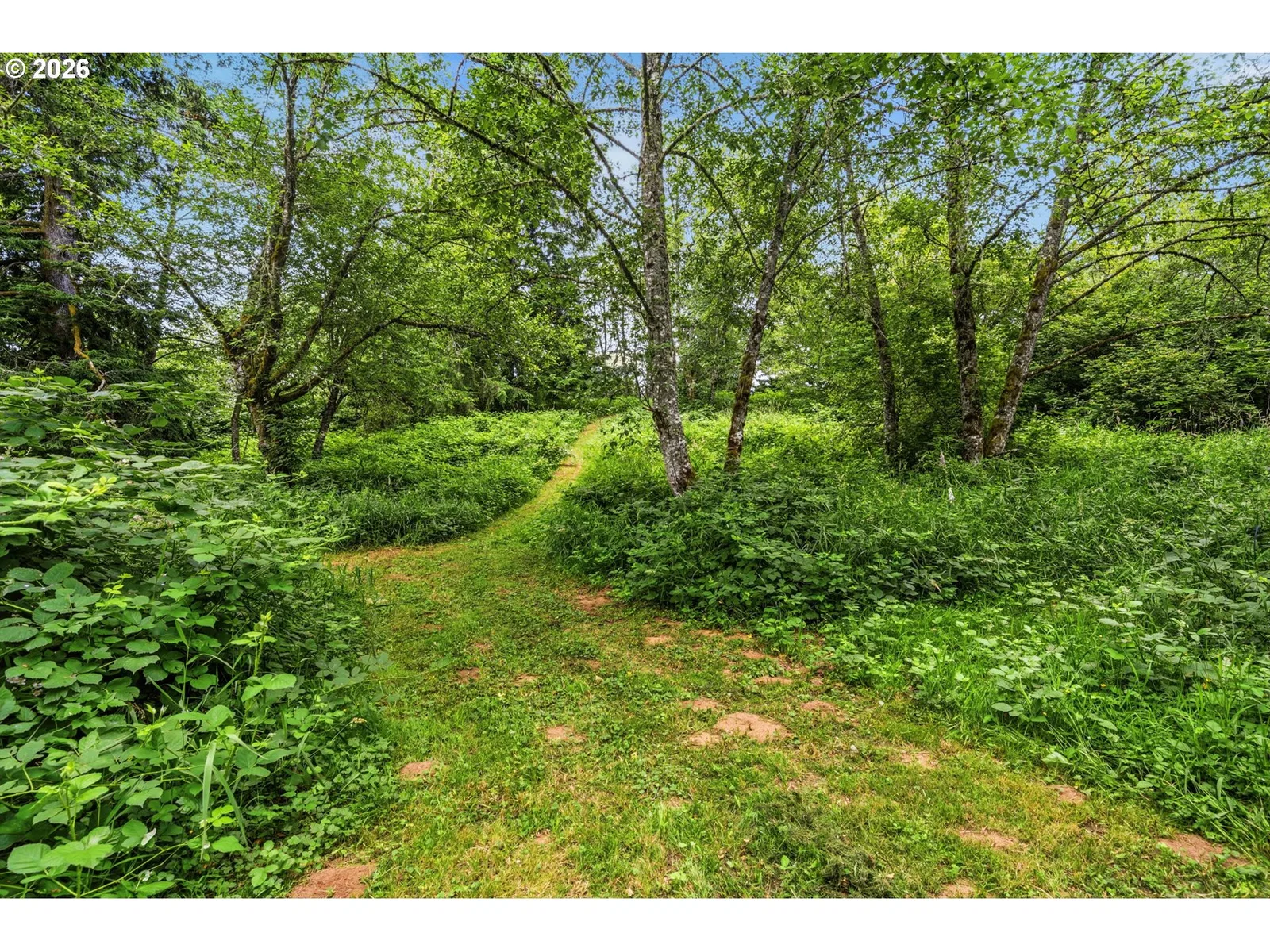 2461 Belle Center Rd, Washougal, Wa 98671 — photograph 42