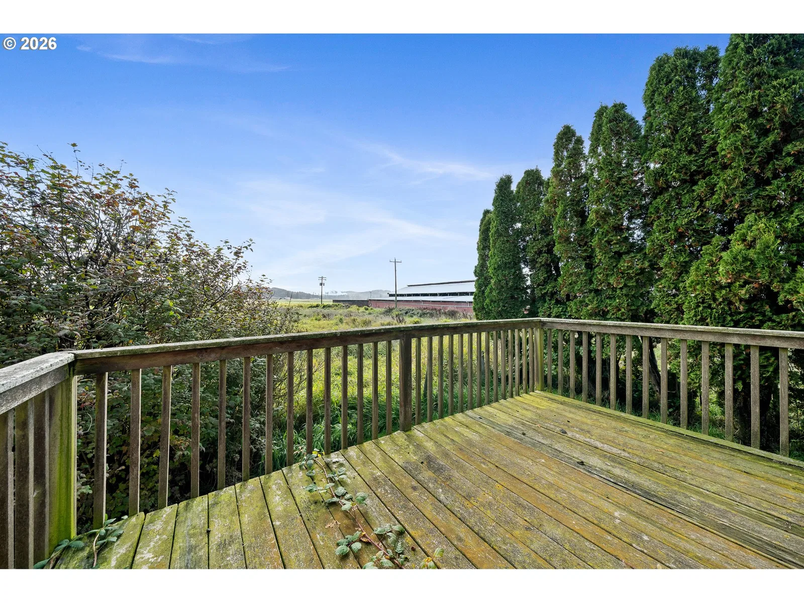 965 Tone Rd, Tillamook, OR 97141 — photograph 14