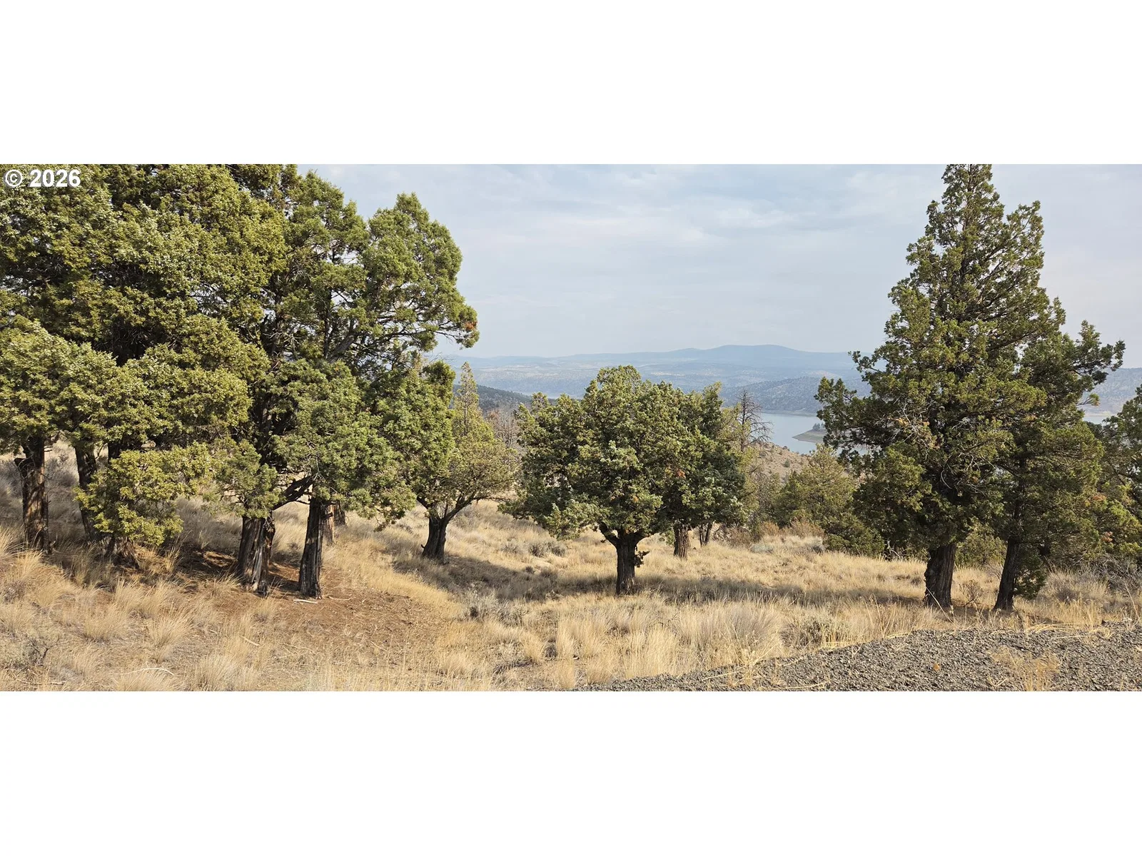 SE Davis Way Tl3900, Prineville, OR 97754 — photograph 15
