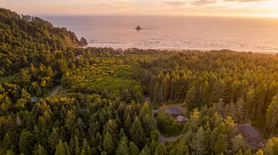 aerial view of sunset over the forest and trees to the ocean