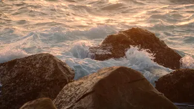 744 Knobcone St, Manzanita, OR 97130 — from the property’s film